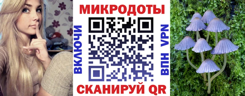 Псилоцибиновые грибы Psilocybe где продают наркотики Учалы